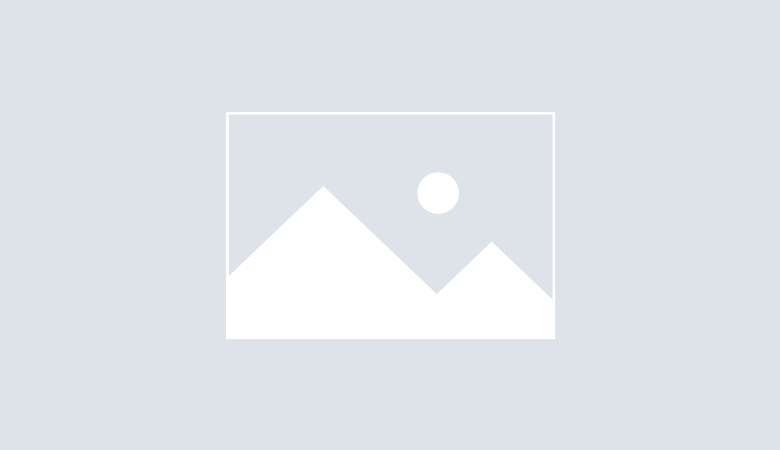 UX & UI Design
